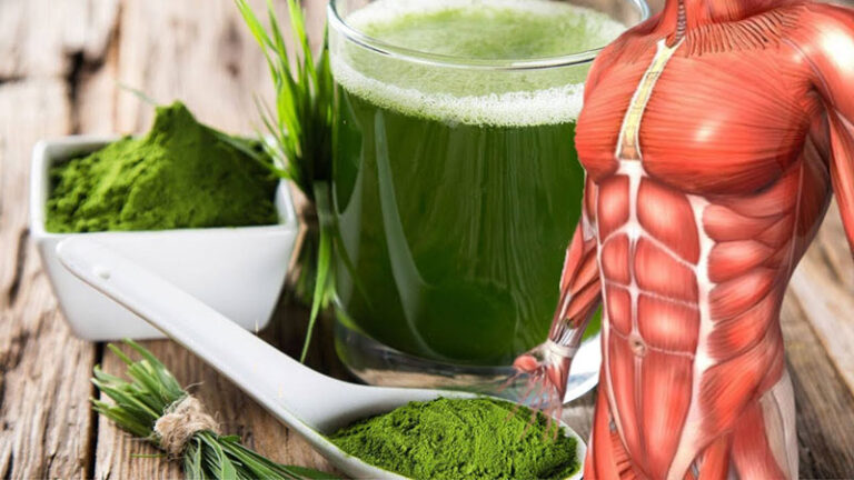 What happens to your body when you start taking spirulina?